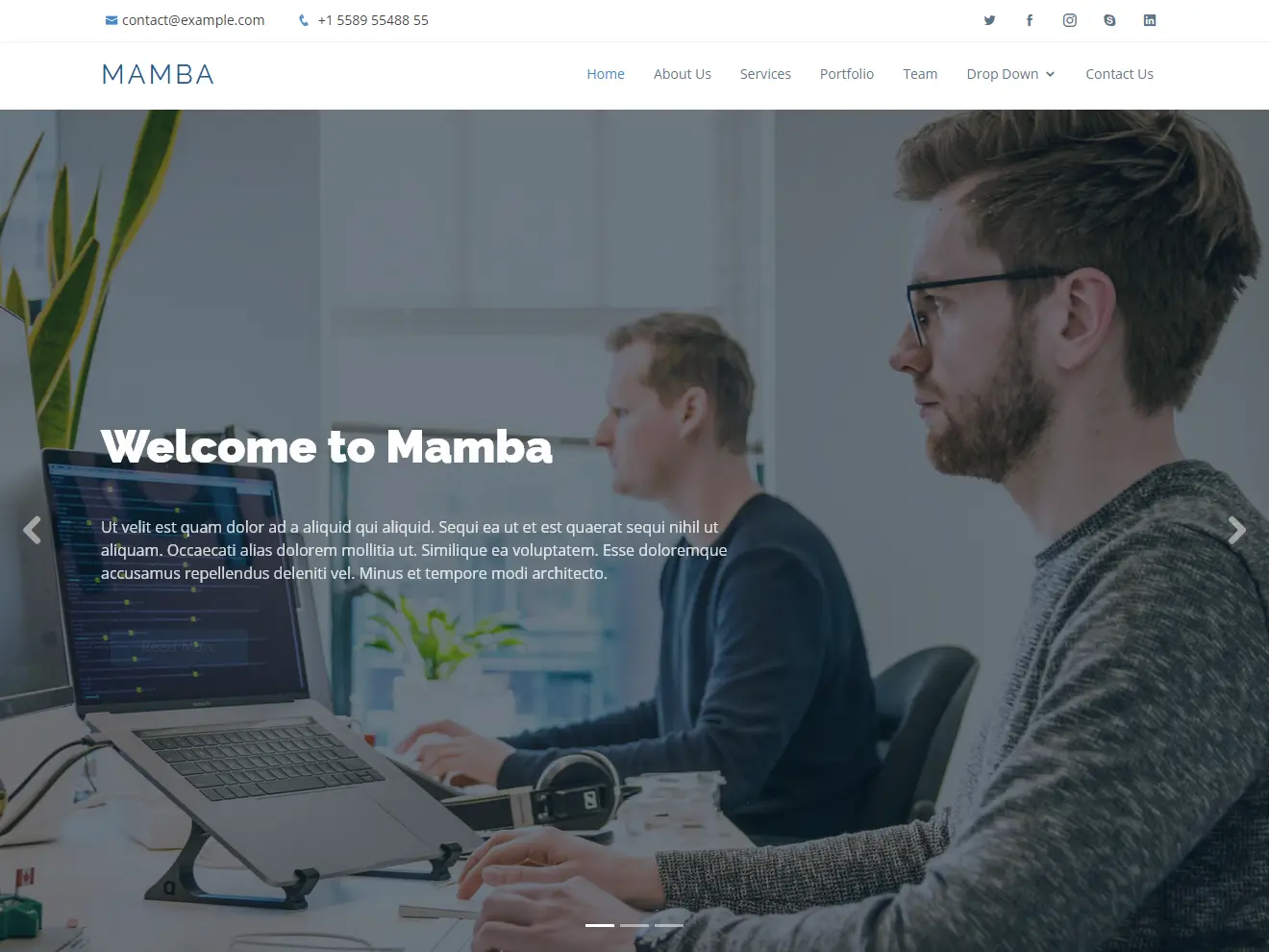 Mamba - Free One Page Bootstrap Template