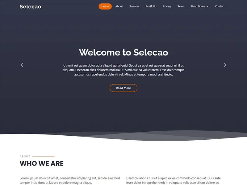 Selecao - Agency Bootstrap Template